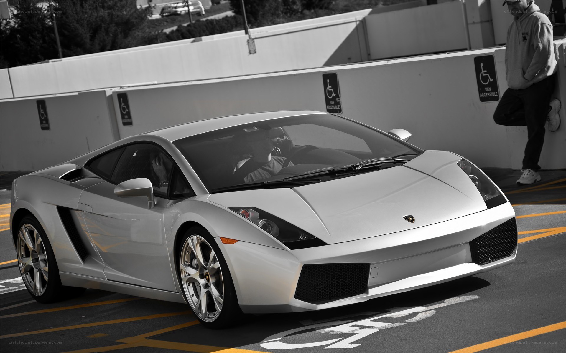 Silver Lamborghini in parking lot
