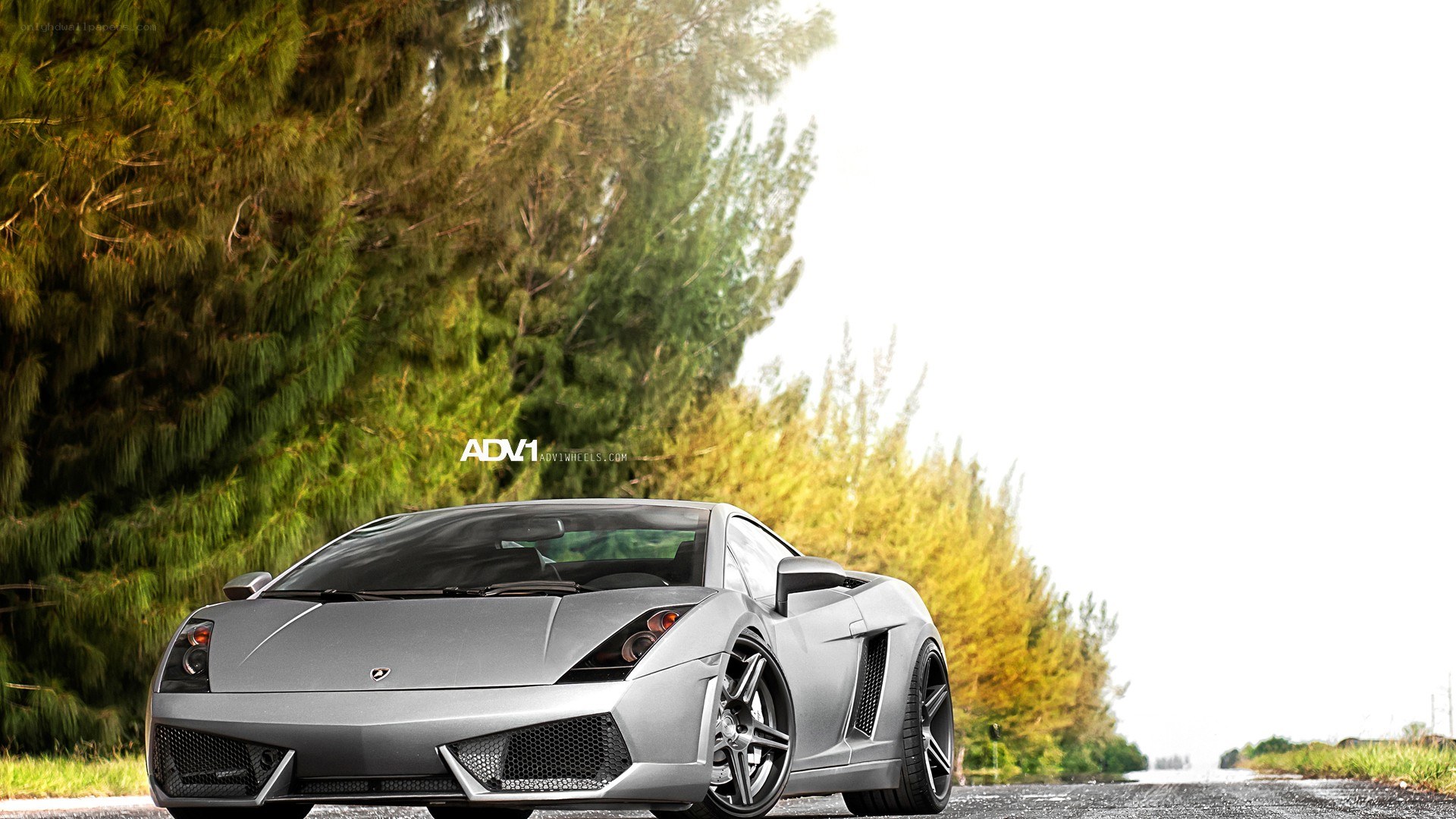 Silver Lamborghini on a road