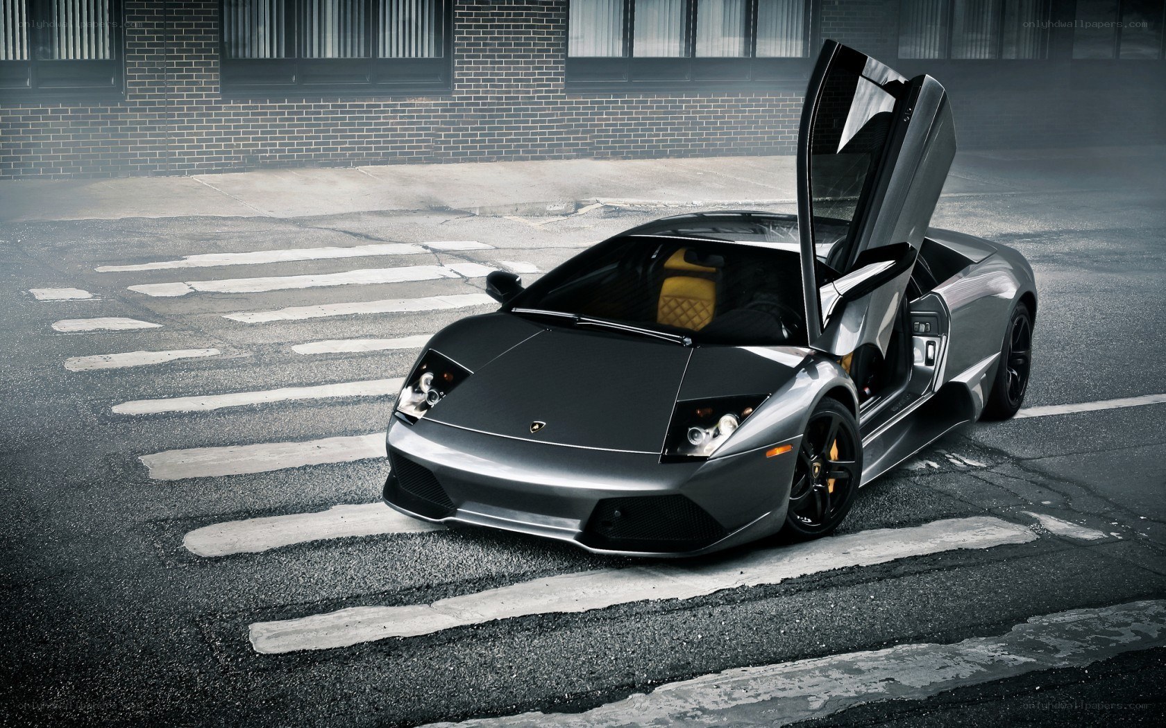 silver lamborghini on street