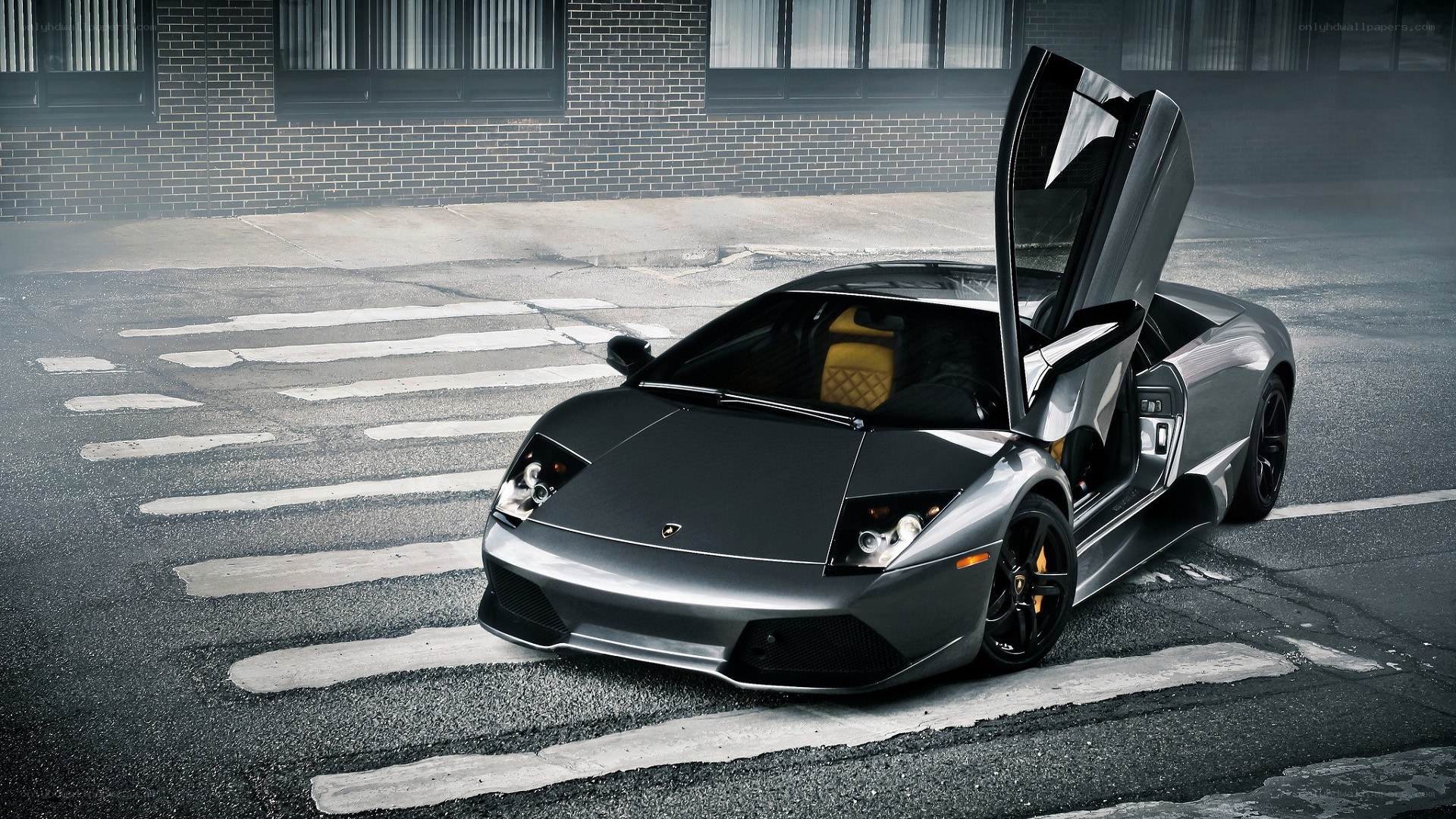 silver lamborghini on street