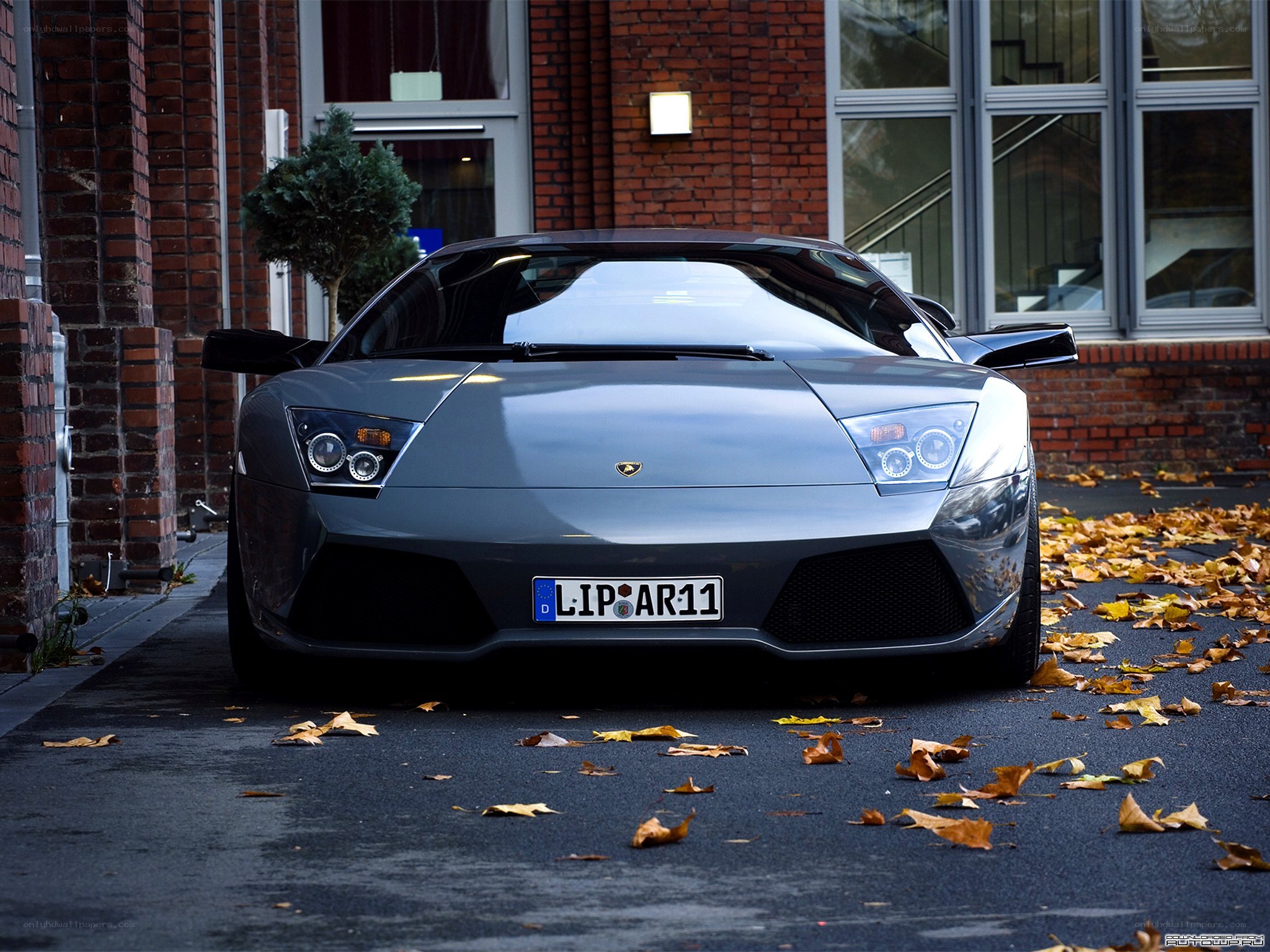 Silver Lamborghini parked on street