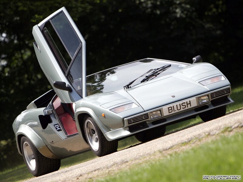 silver lamborghini with open door