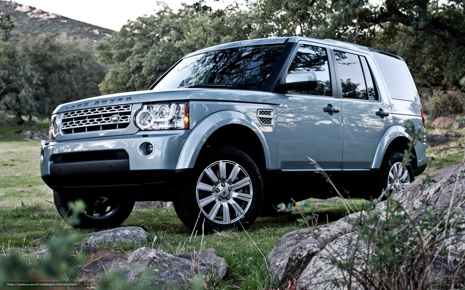 Silver Land Rover in a natural setting