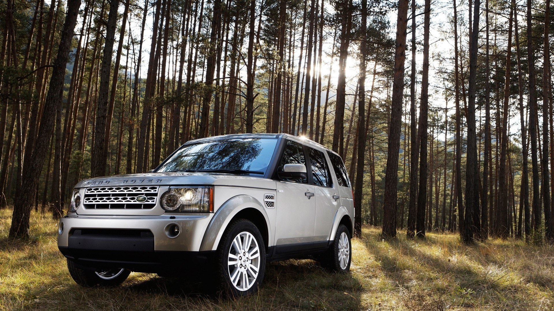 Silver Land Rover in forest