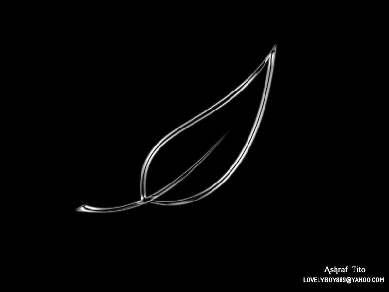 Silver leaf outline on black