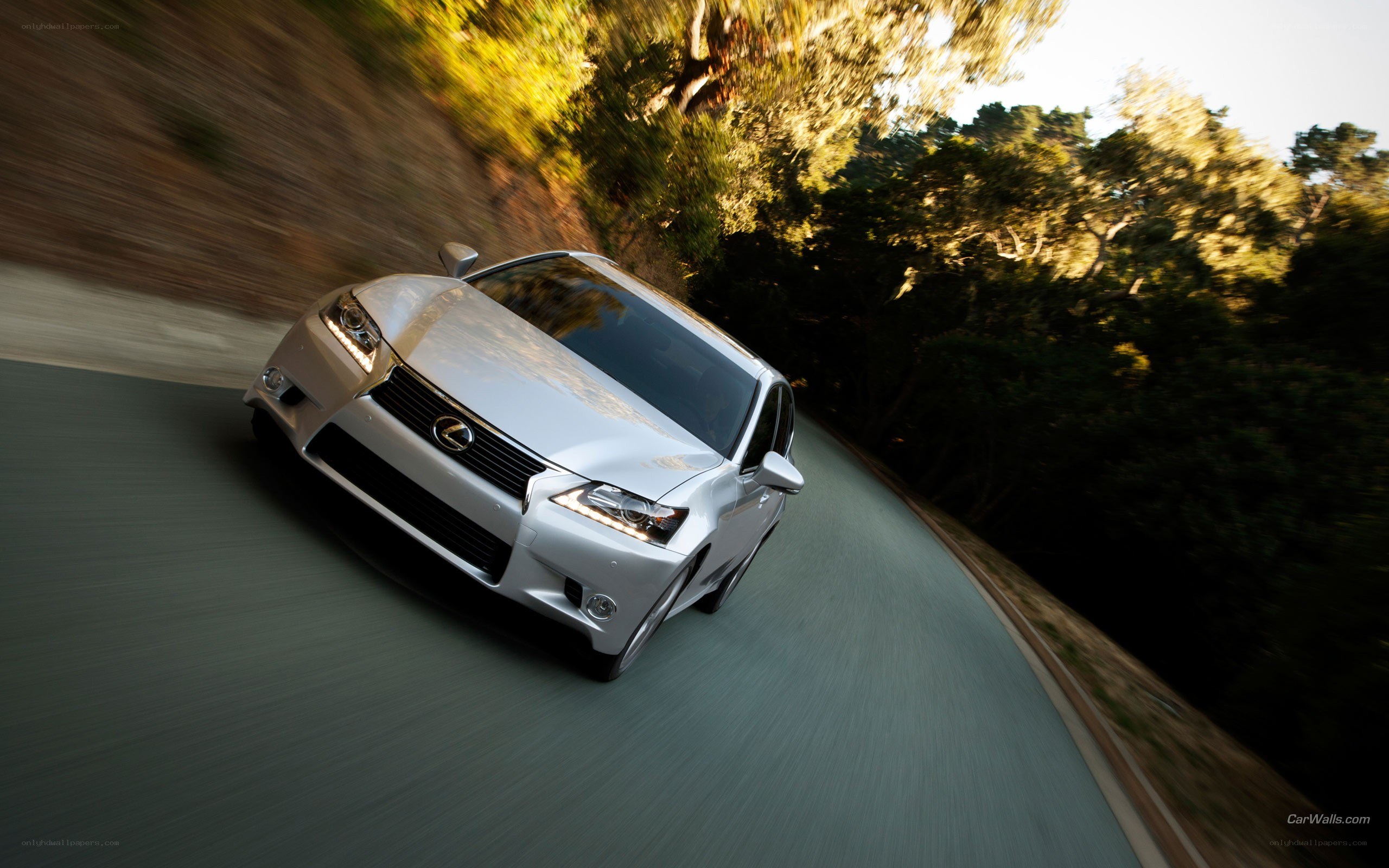 silver lexus driving on a road