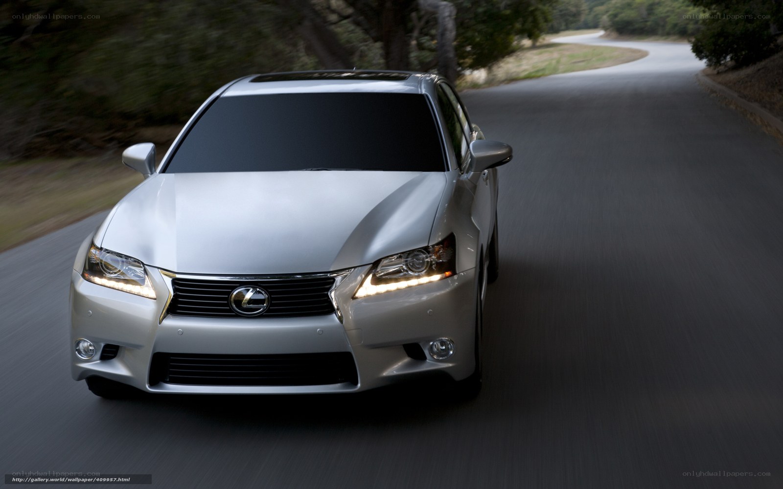 Silver Lexus driving on a road
