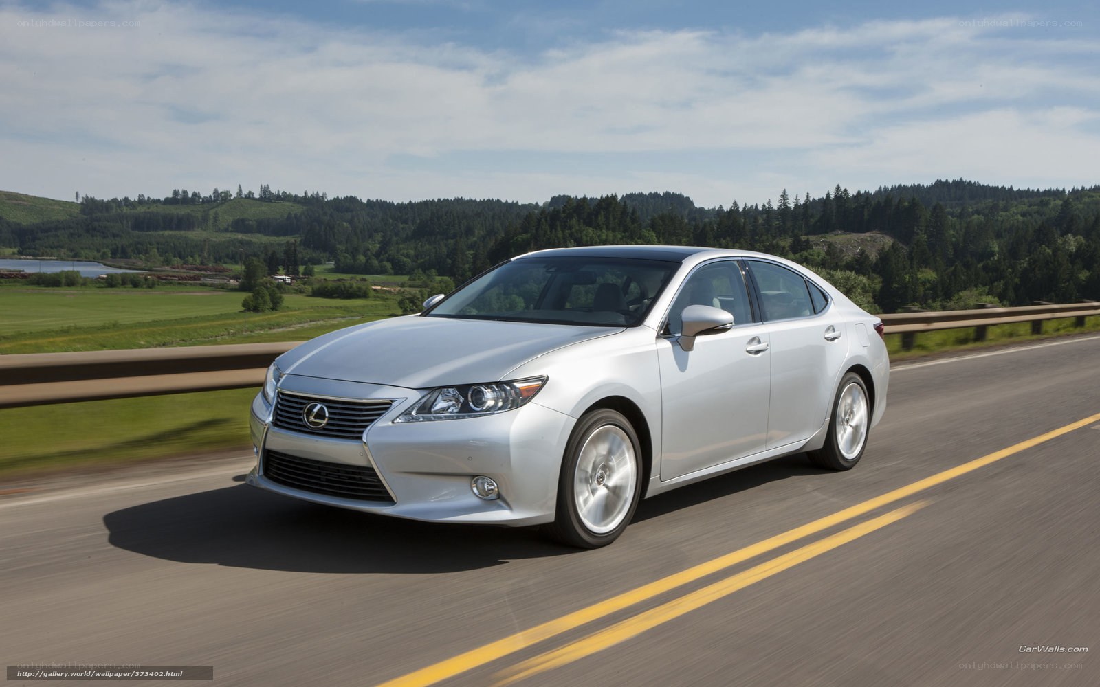 silver lexus driving on highway