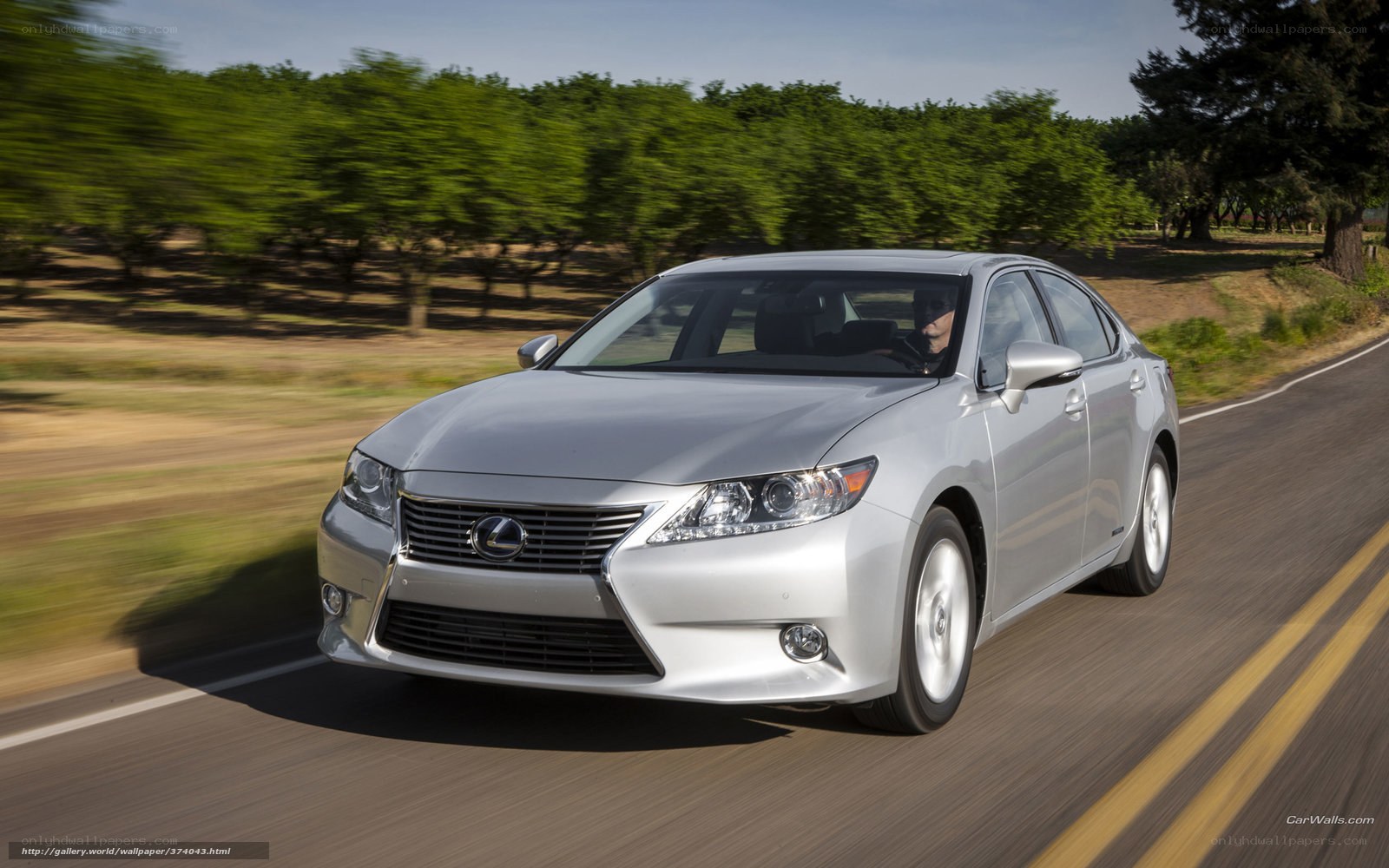 silver lexus driving on road