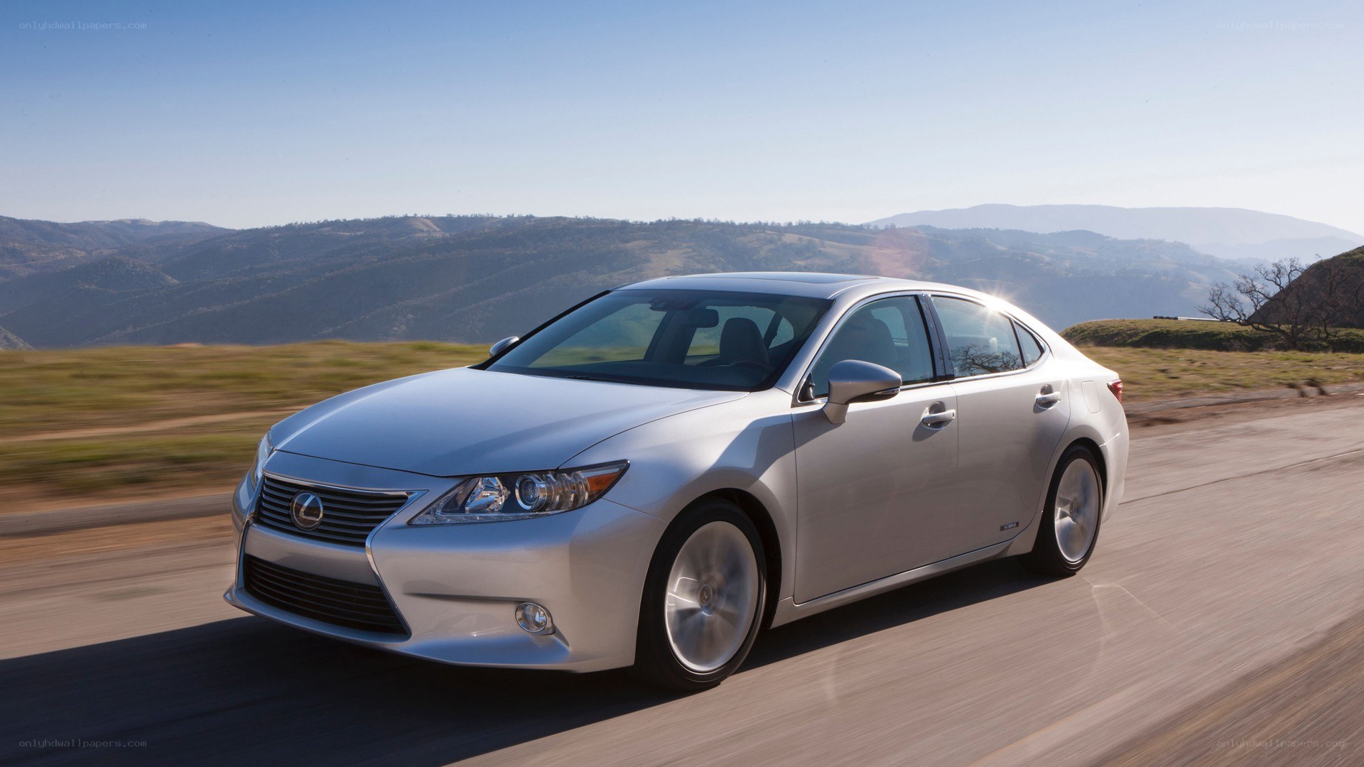 silver lexus driving on road