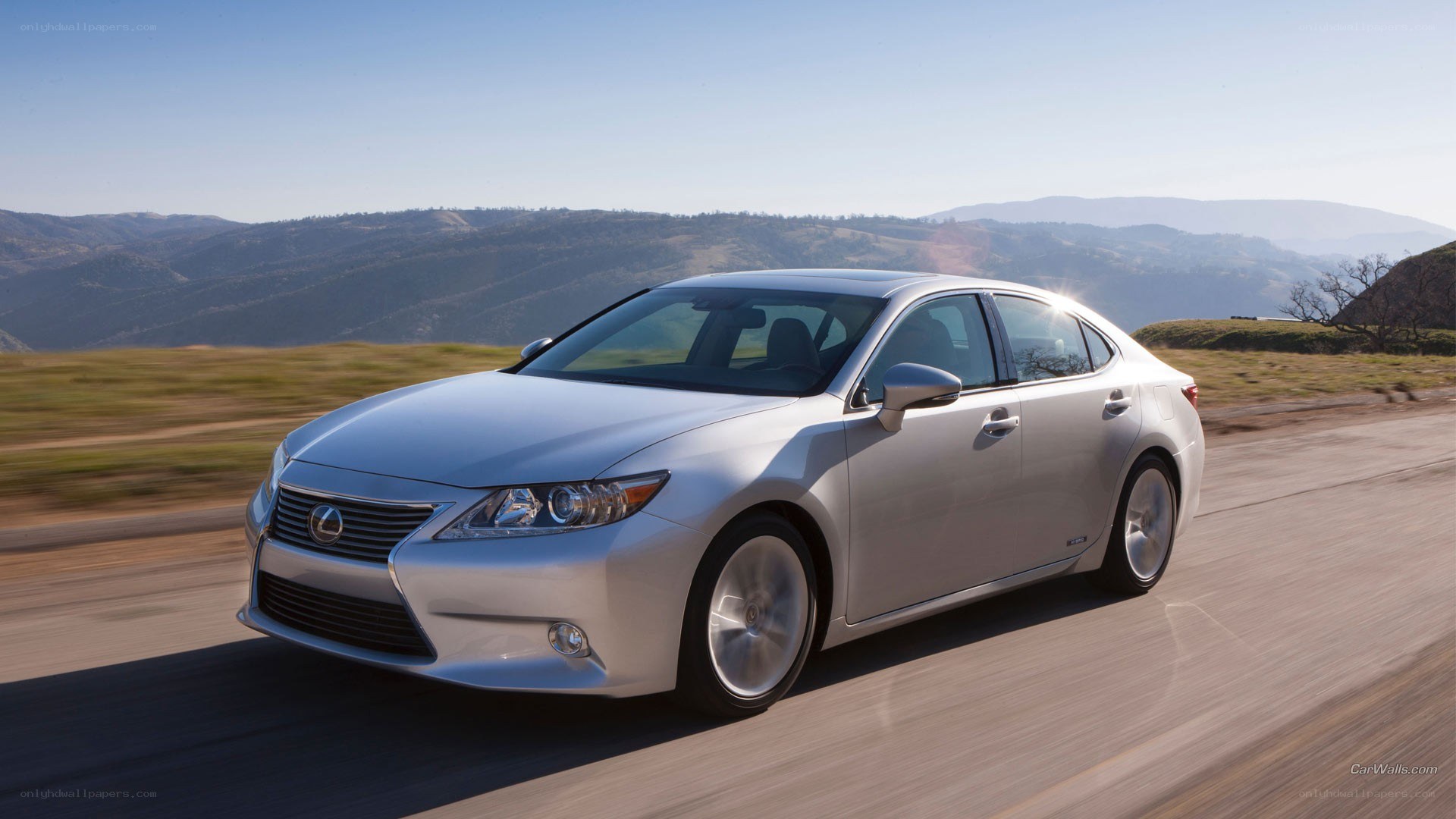 silver lexus driving on road