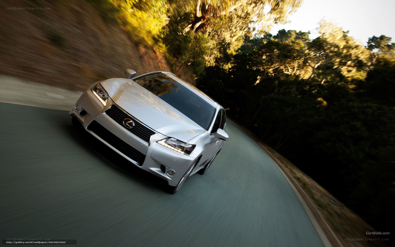 silver lexus driving on winding road