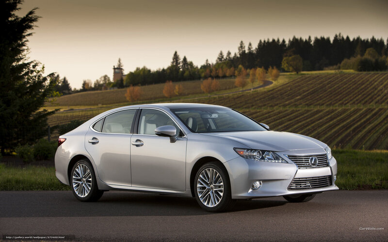 Silver Lexus ES in vineyard