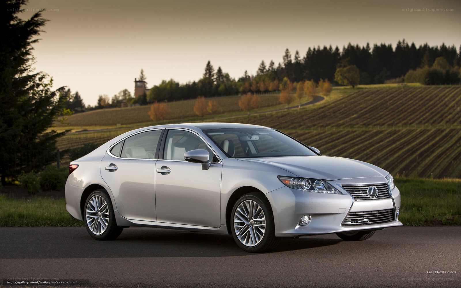 Silver Lexus ES in vineyard