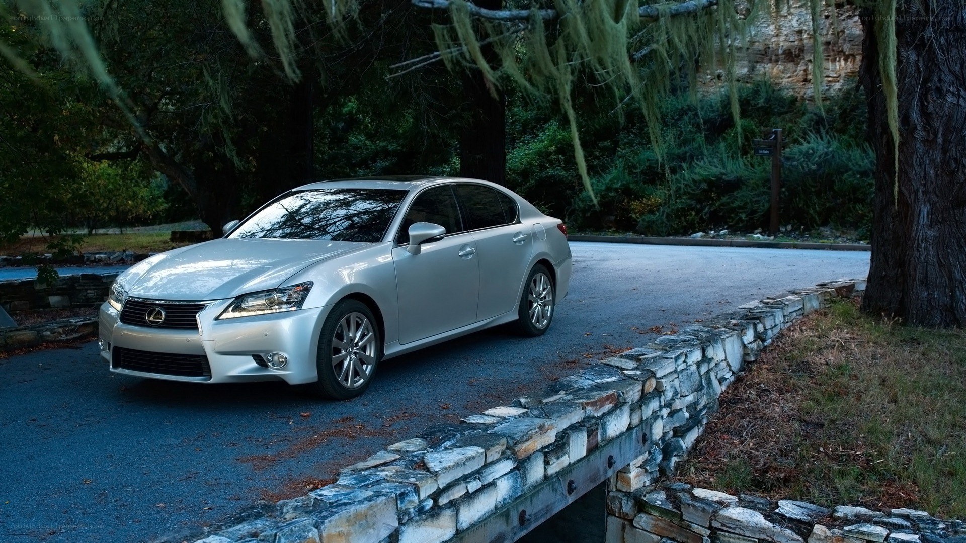 Silver Lexus GS on a forest road