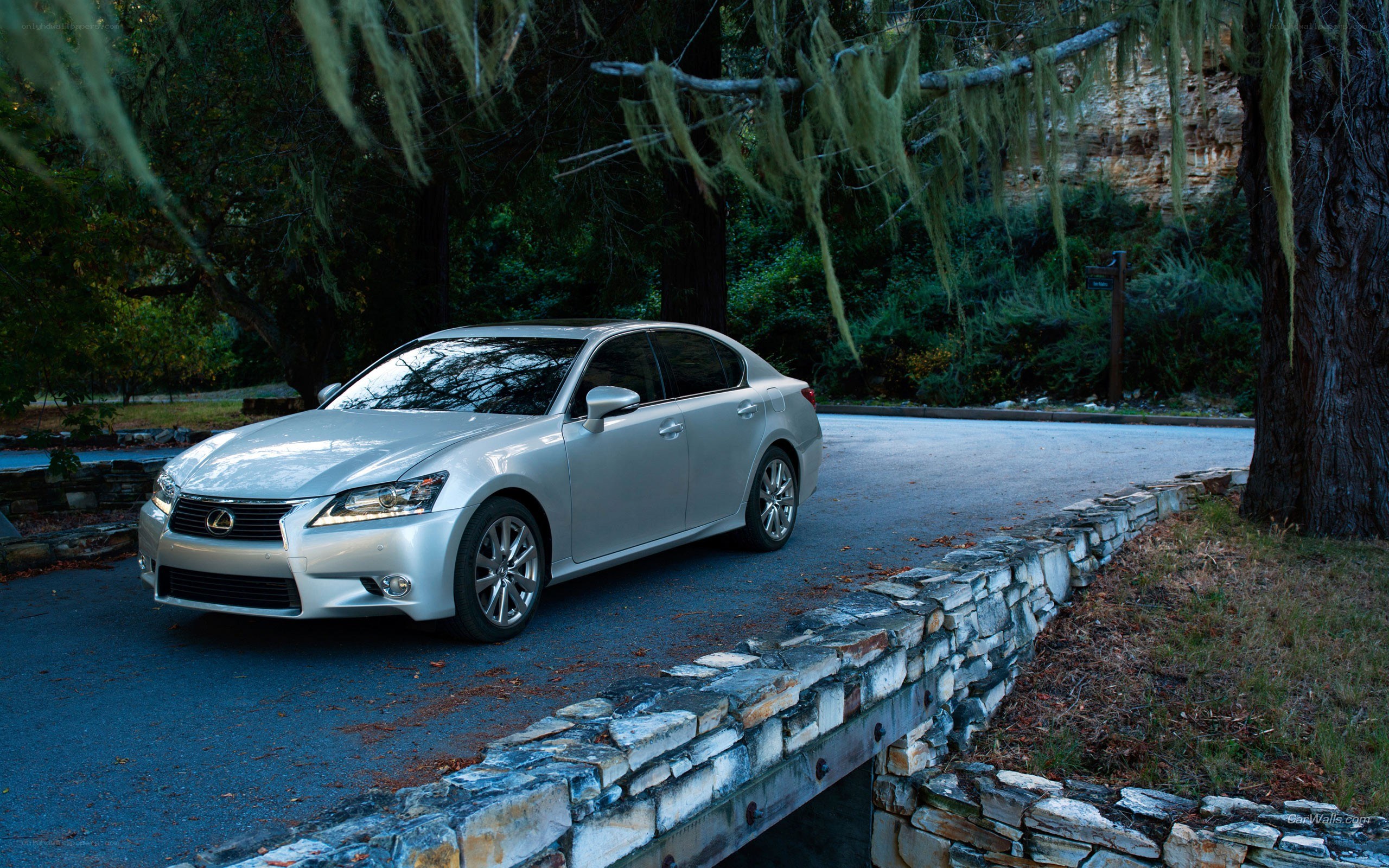 Silver Lexus GS on a forest road