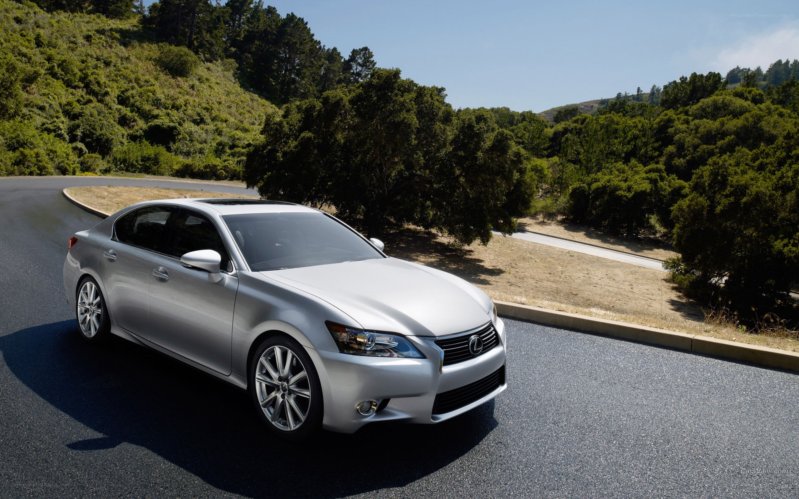 silver lexus gs on winding road