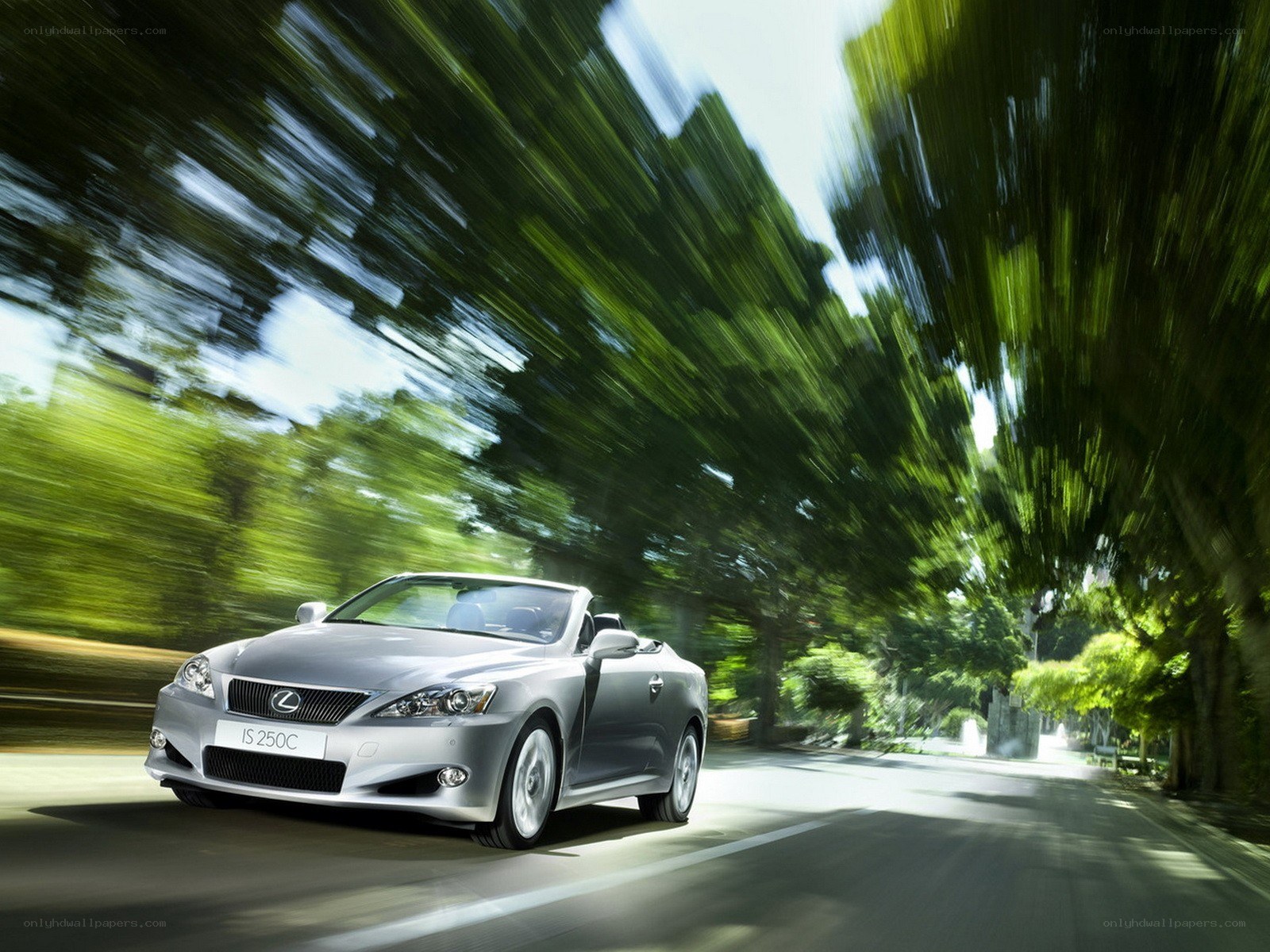Silver Lexus IS 250C driving