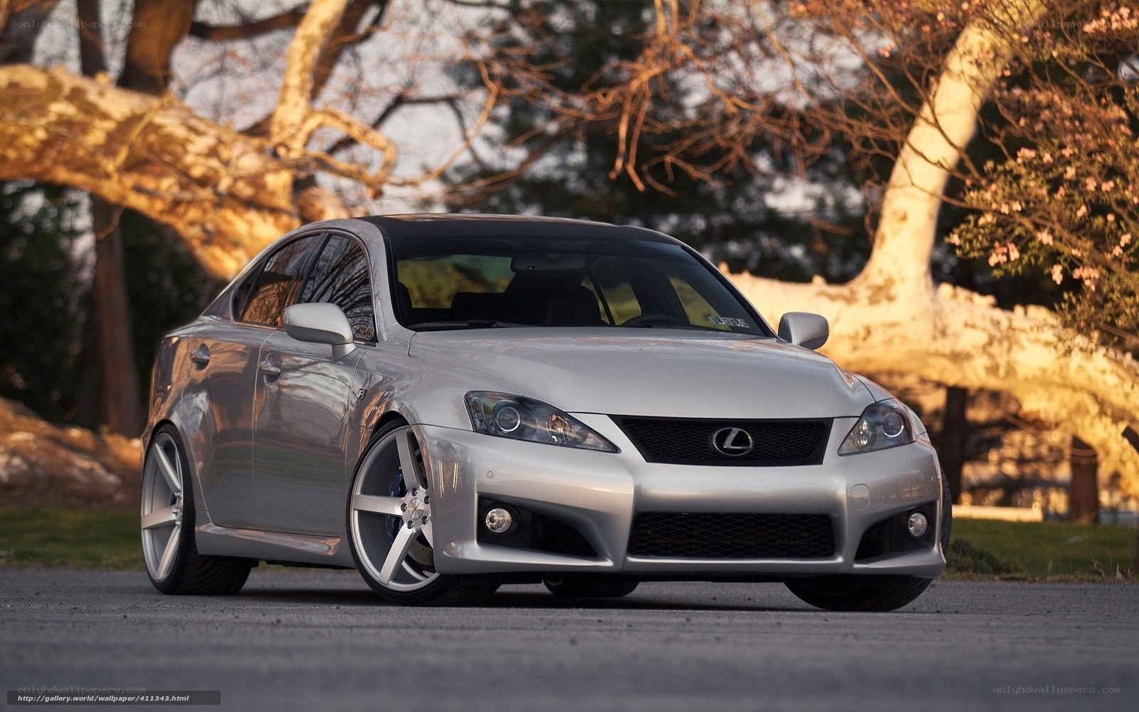 Silver Lexus IS-F sedan