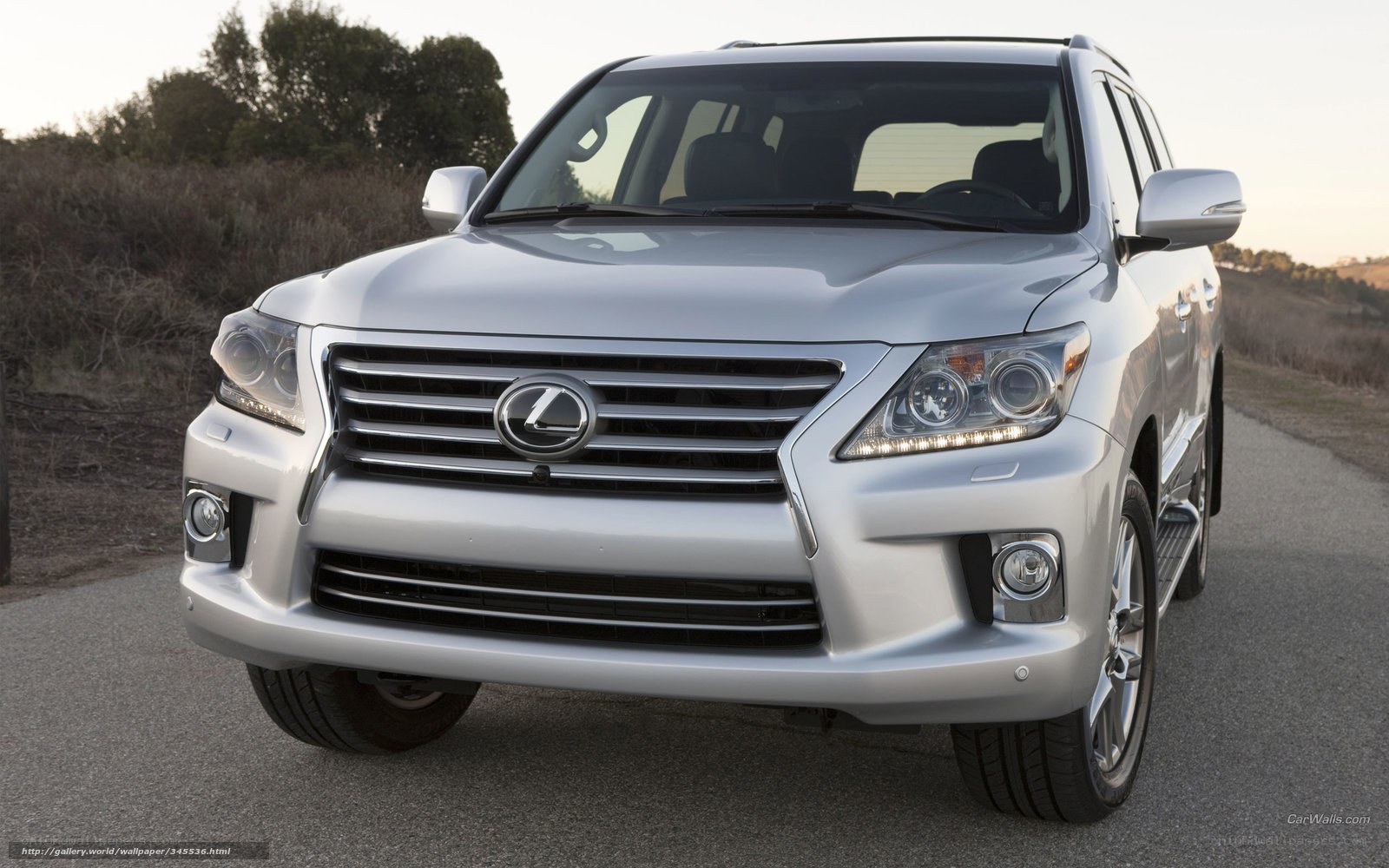 silver lexus lx suv