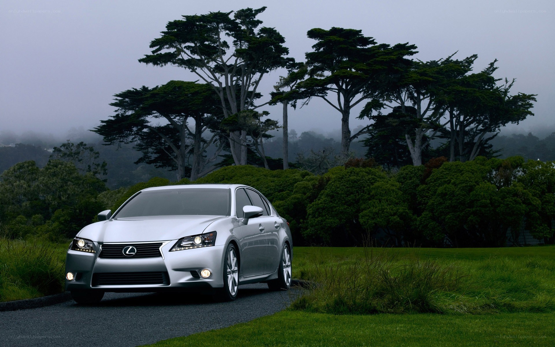 Silver Lexus on a misty road