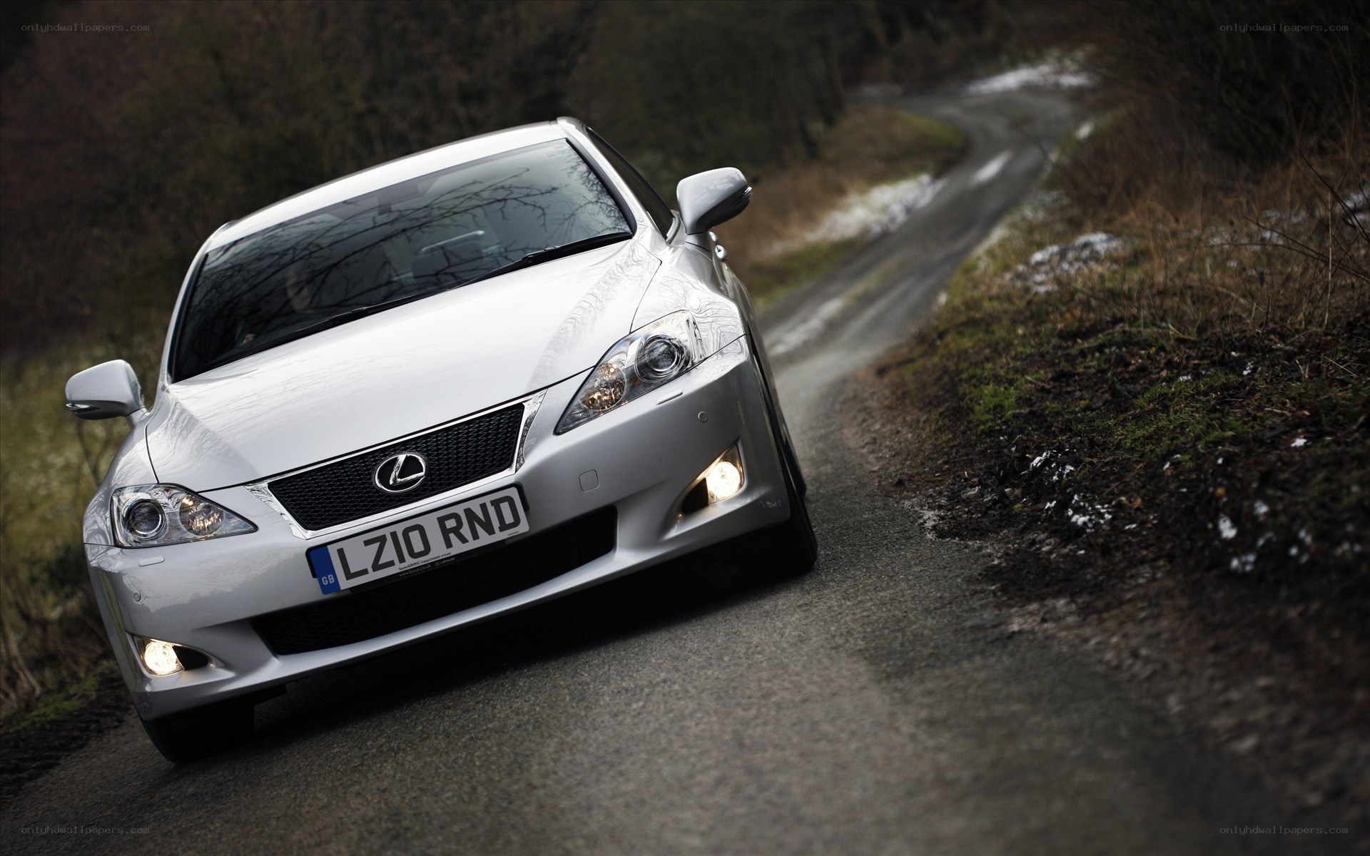 silver lexus on winding road