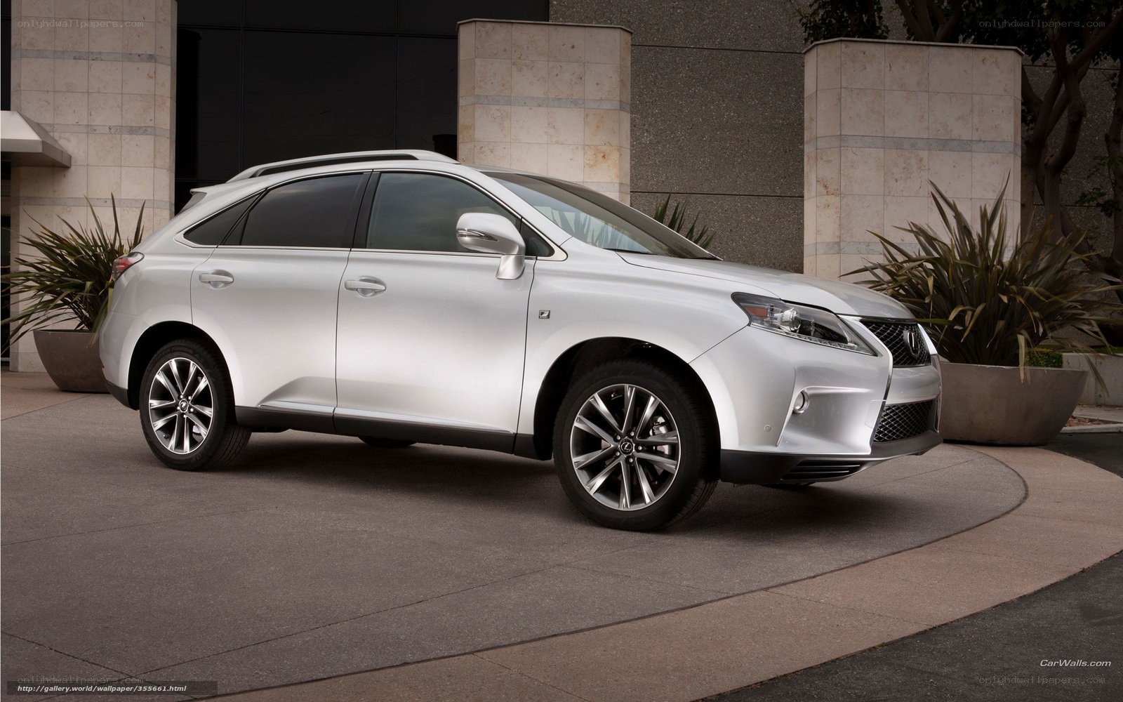 silver lexus rx suv