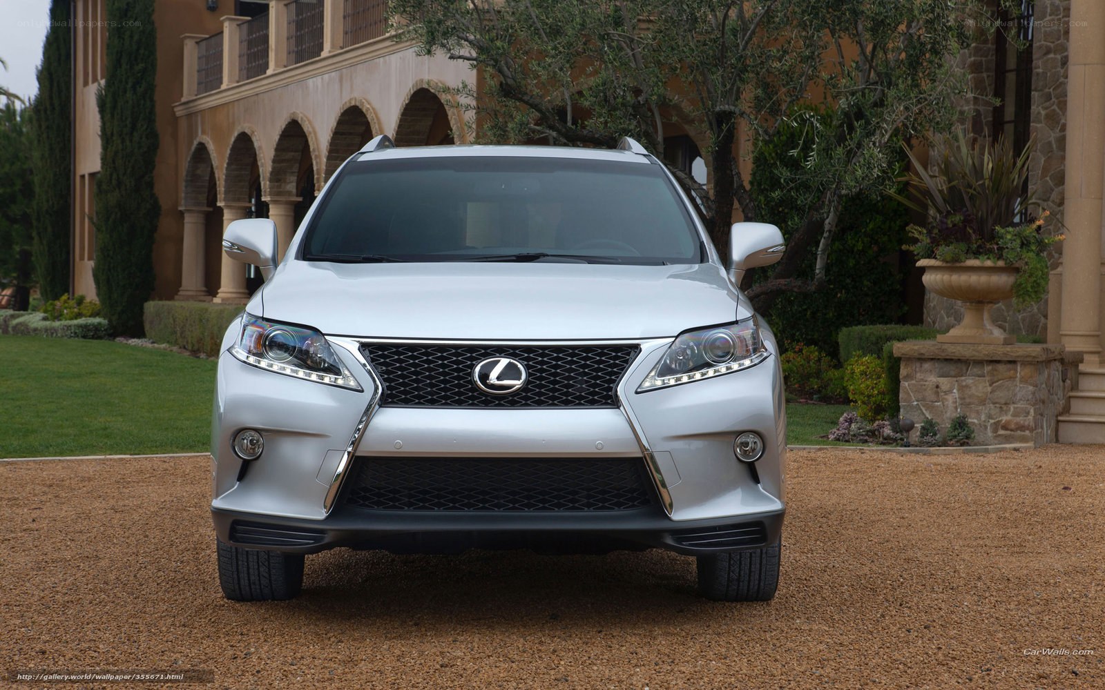 silver lexus rx suv