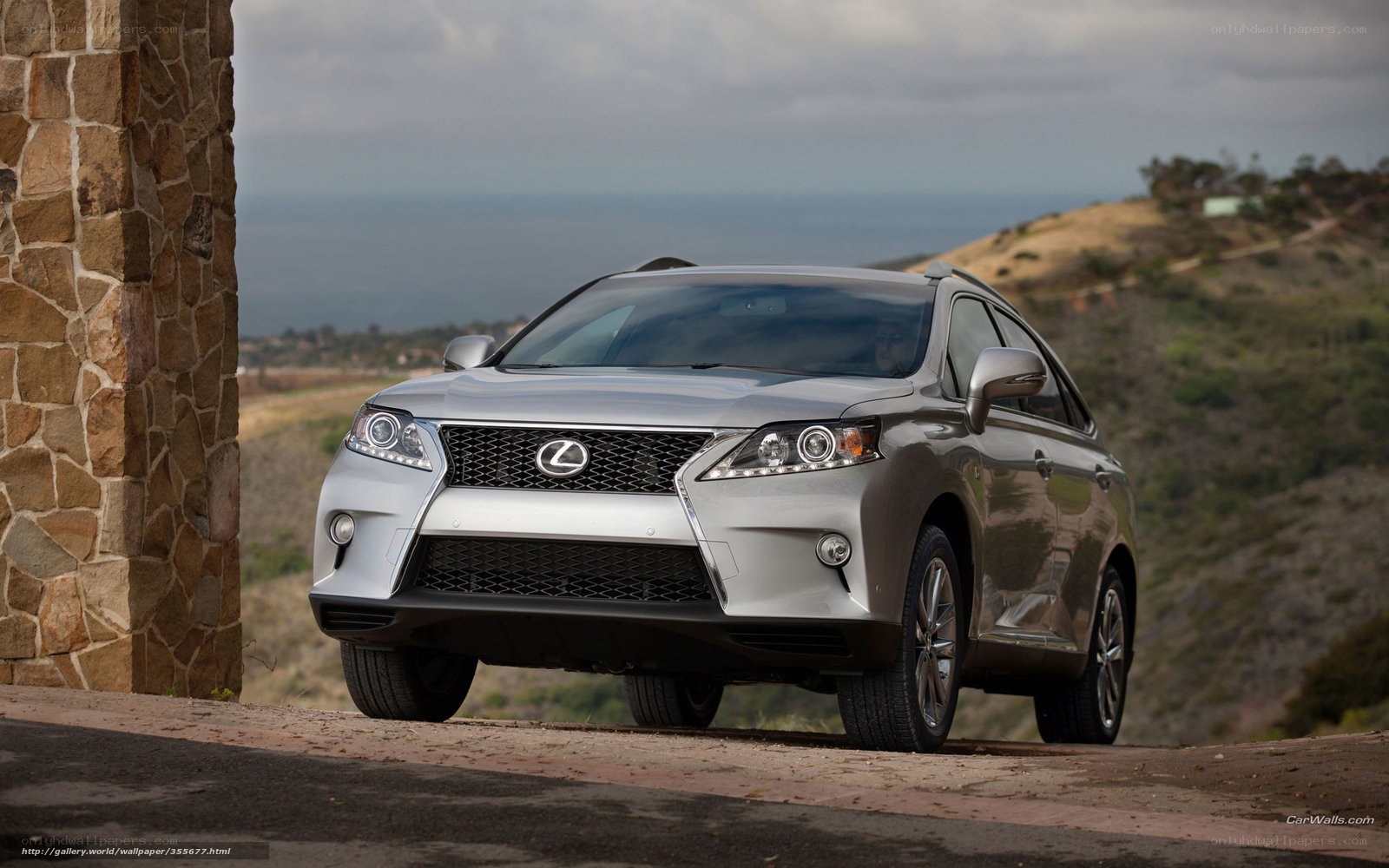 silver lexus rx suv