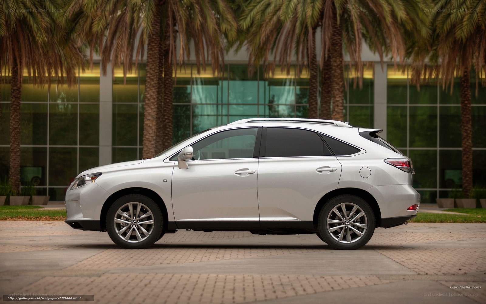 silver lexus rx suv
