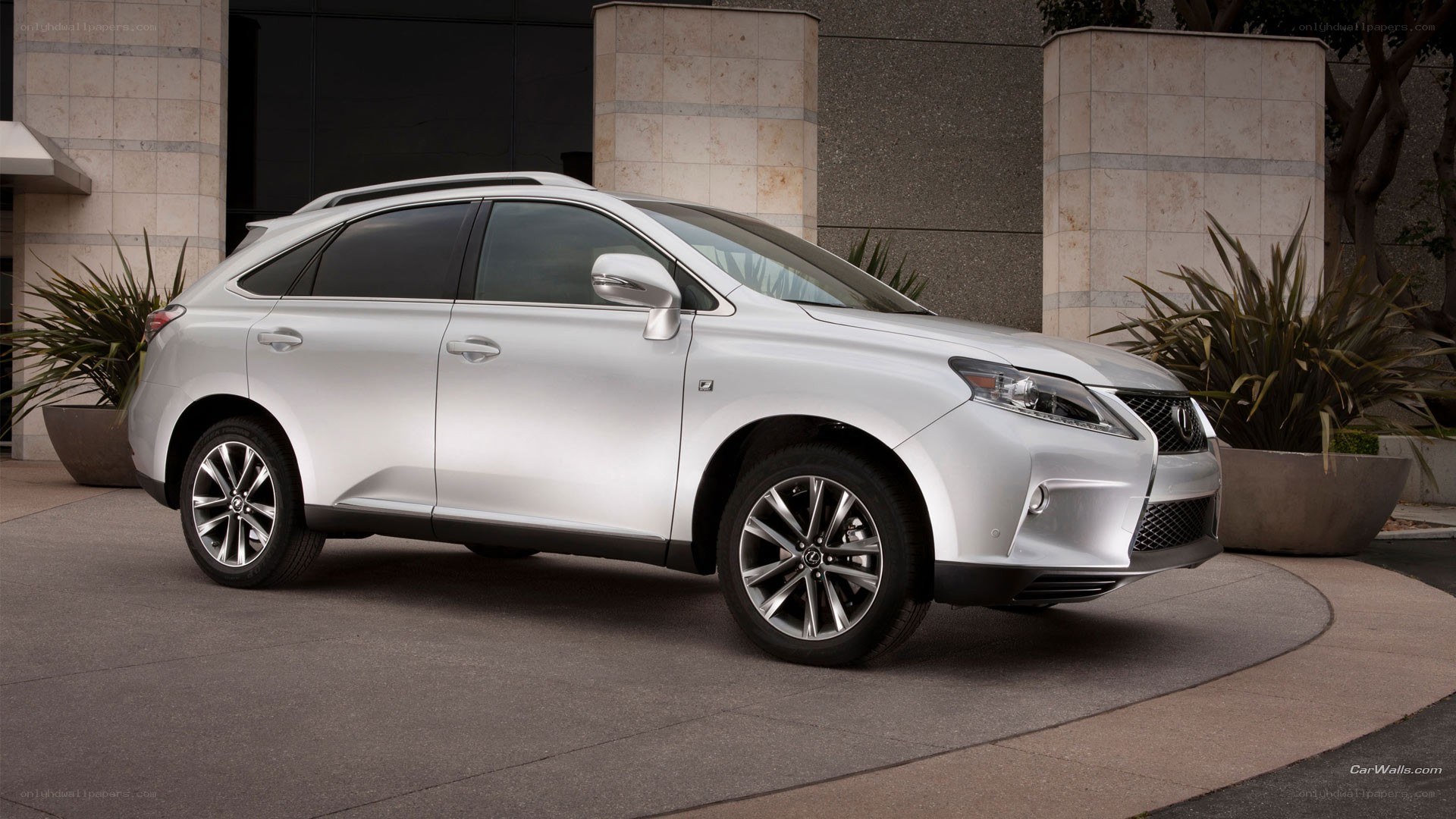 silver lexus rx suv