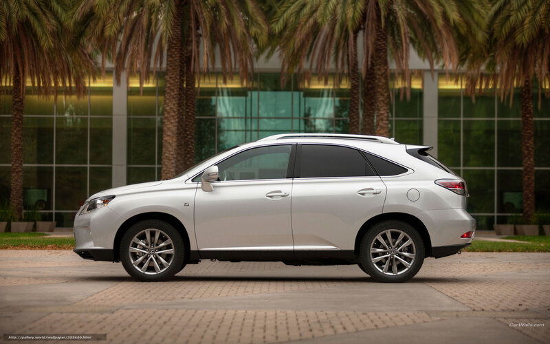 Silver Lexus Rx Suv — Calm, Afternoon, Photograph