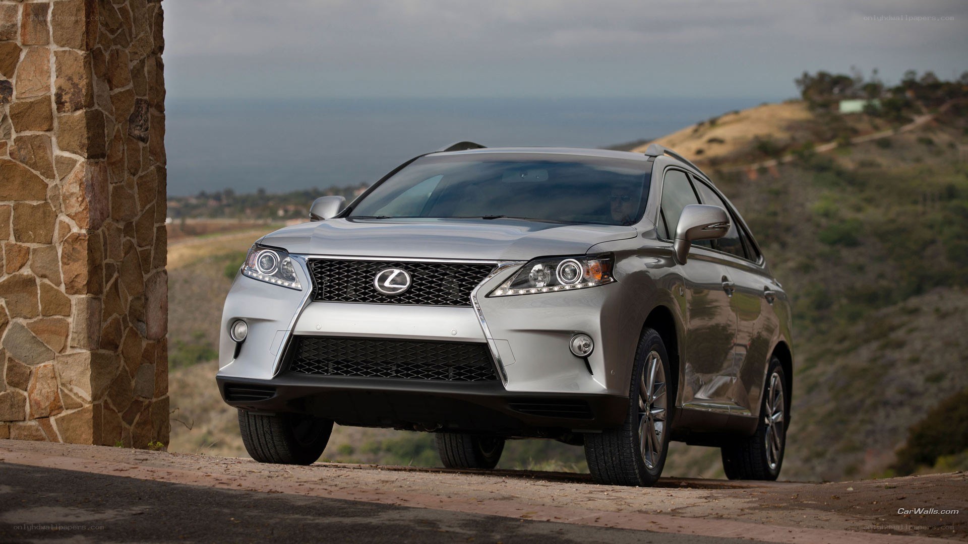 silver lexus rx suv on hillside
