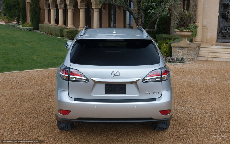 silver lexus rx350 suv