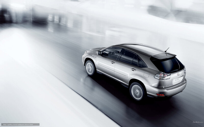 Silver Lexus Rx350
