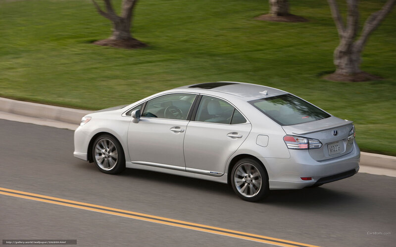 Silver Lexus Sedan — Calm