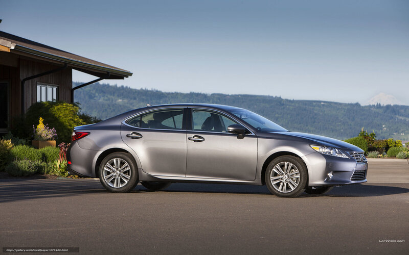 Silver Lexus Sedan — Gray, Serene