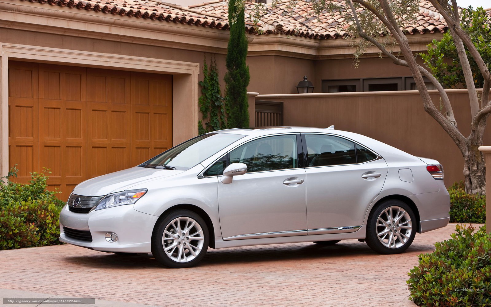 Silver Lexus sedan in driveway