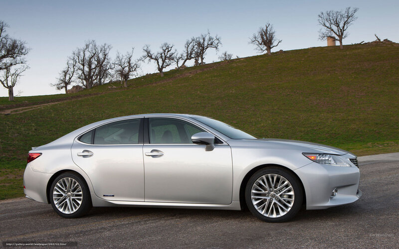 silver lexus sedan on a road