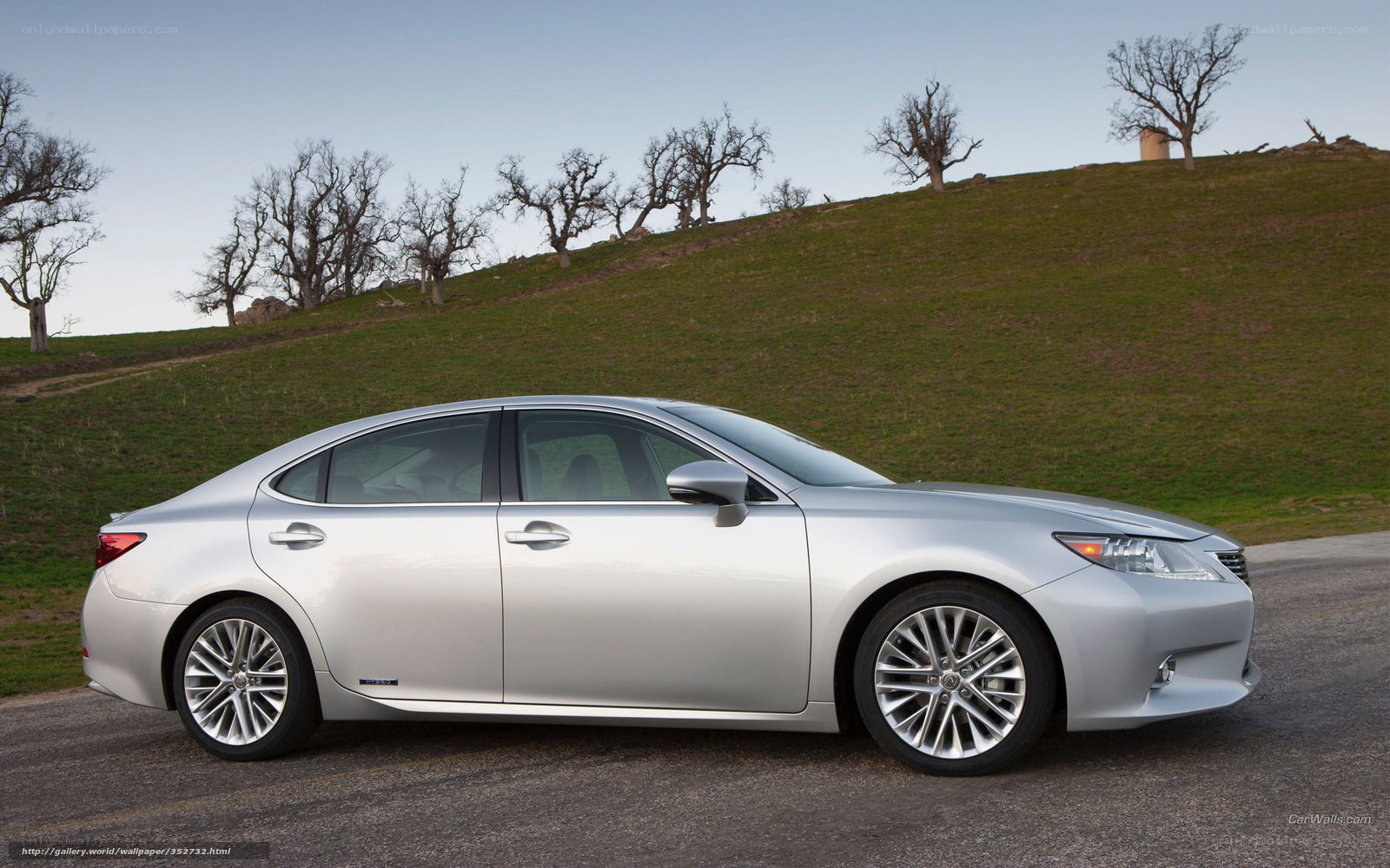 silver lexus sedan on a road