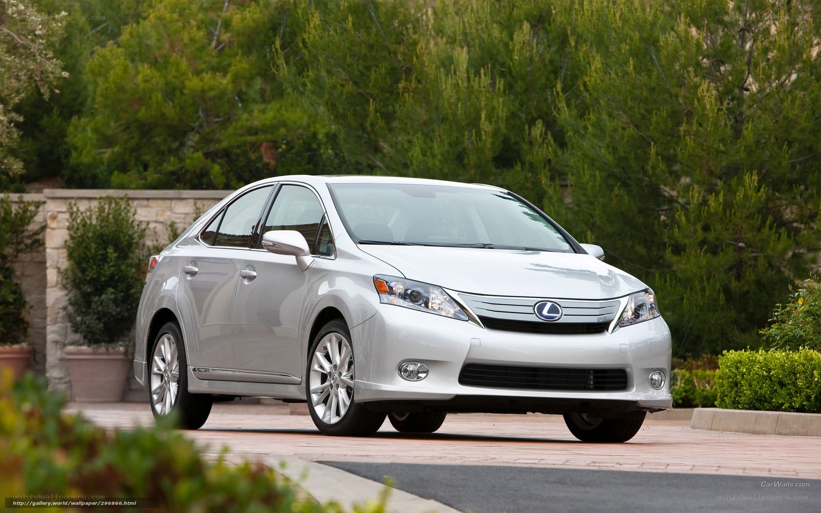 silver lexus sedan on driveway