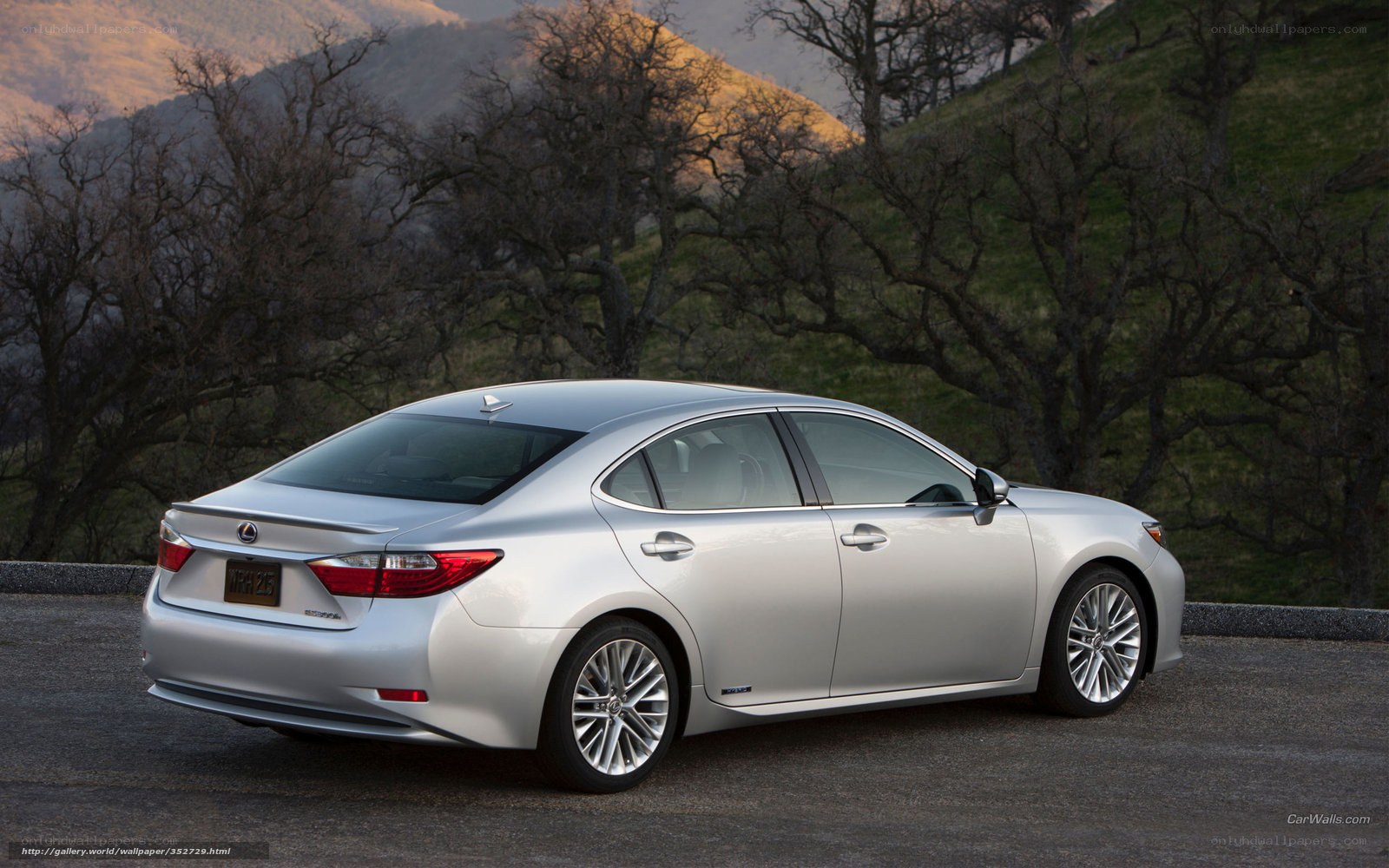 silver lexus sedan on hillside