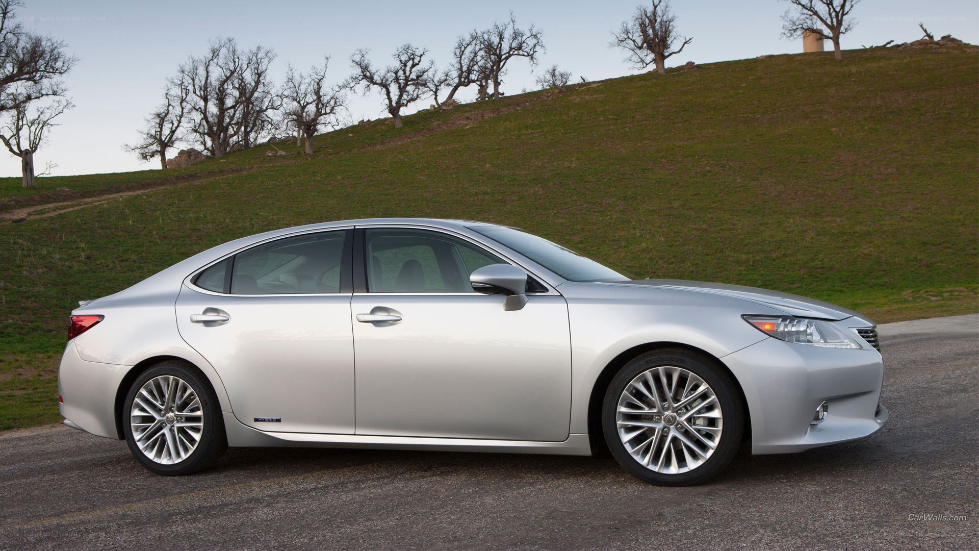 silver lexus sedan on road