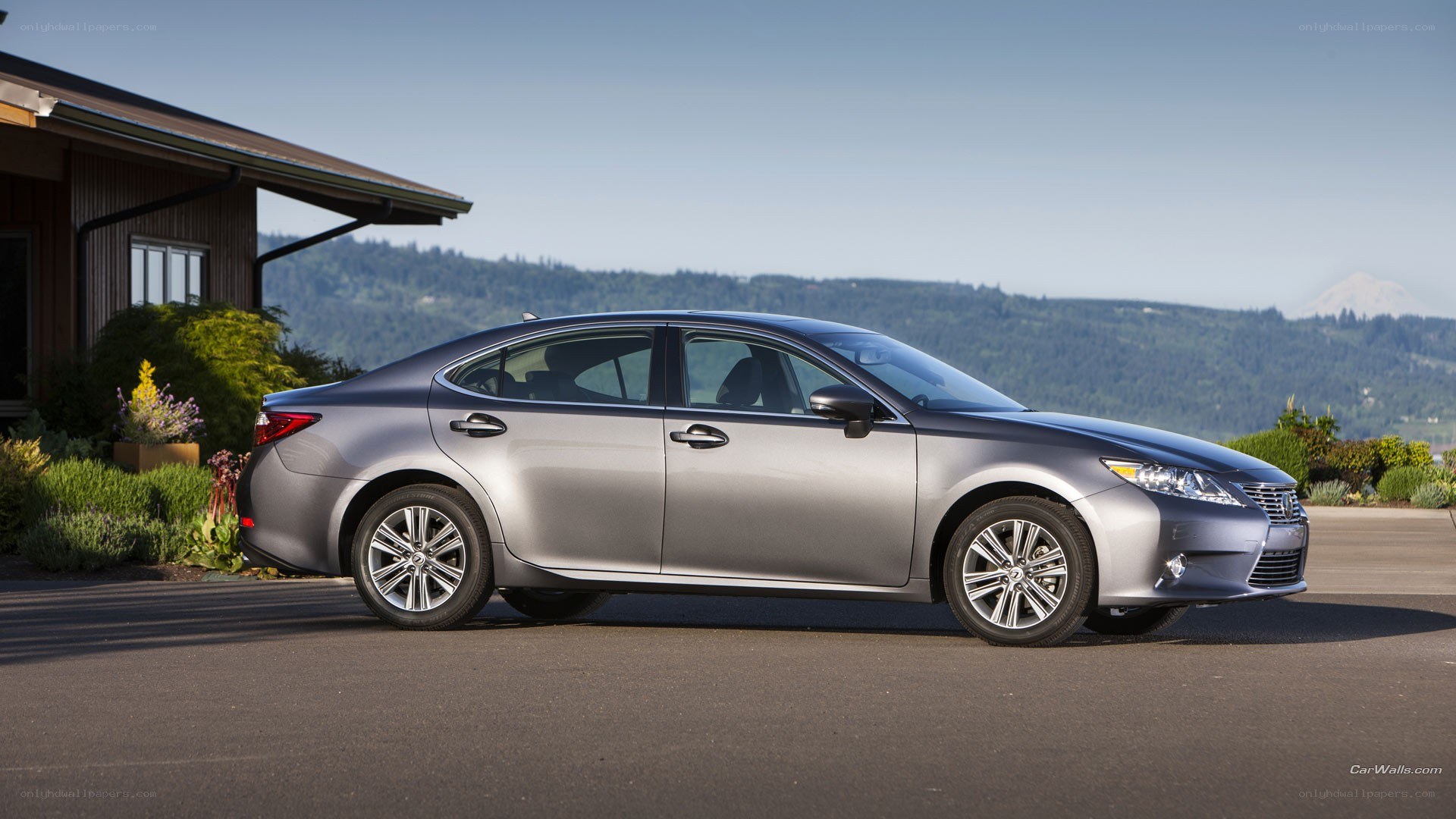 silver lexus sedan parked