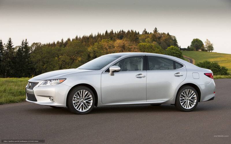 Silver Lexus Sedan — Serene, Afternoon, Photograph, Car, Road, Trees