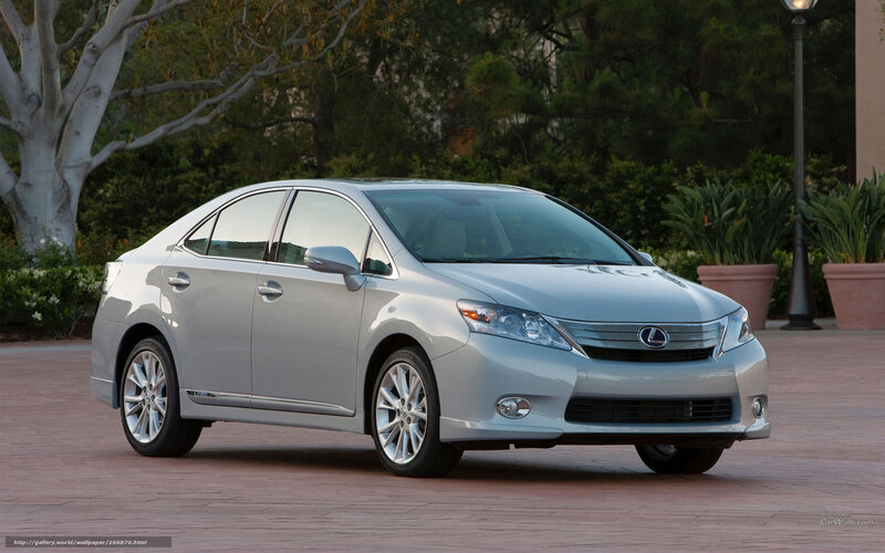 Silver Lexus Sedan — Serene, Afternoon, Photograph, Trees
