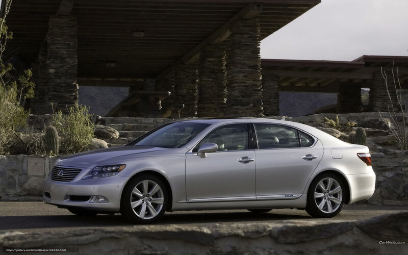 Silver Lexus Sedan — Serene, Afternoon