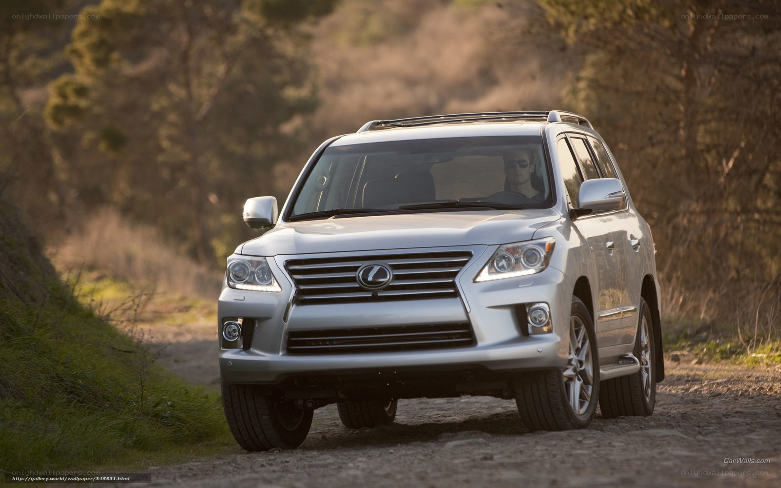silver lexus suv on dirt road