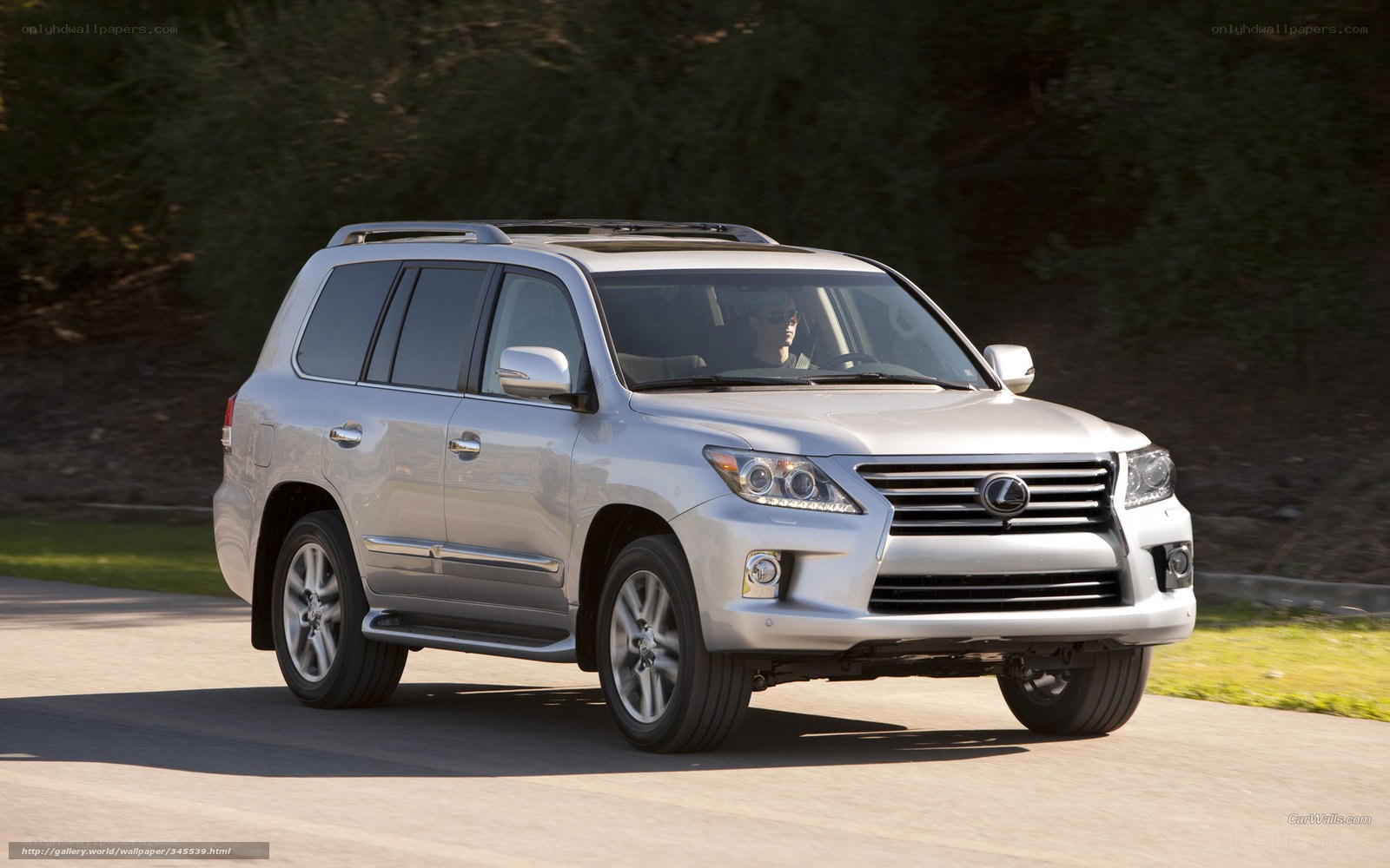 silver lexus suv on road