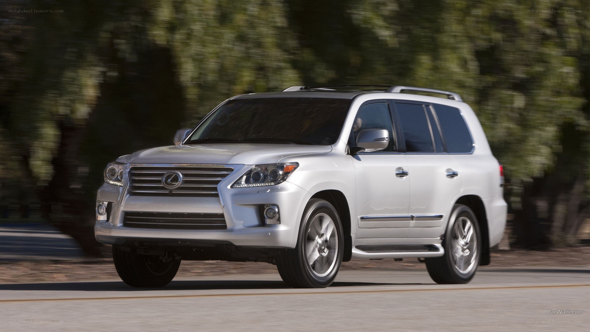 silver lexus suv on road